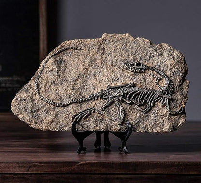 XINDAM Resin Dinosaur Fossil Statue Model Simulated Skeleton Home Office - Image 3