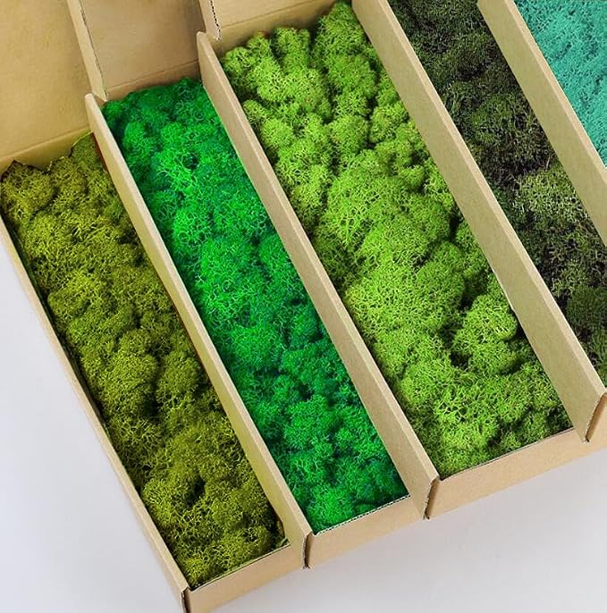 Preserved Reindeer Moss Natural Green DIY Kit Gardenning Art Wall Decor Florist - Image 2