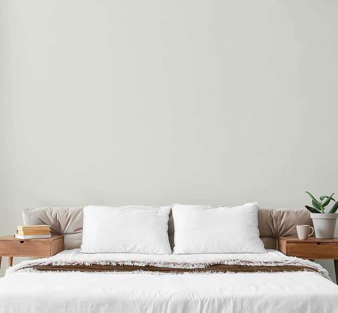 EVOLVE Paint & Primer: Environment-friendly, Low Sheen - Image 4
