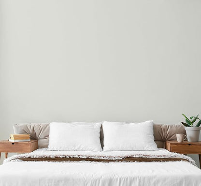 EVOLVE Paint & Primer: Environment-friendly, Low Sheen - Image 4