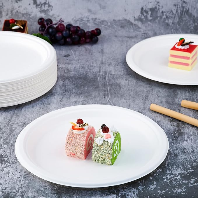 Vplus 500 Pack Compostable Disposable Paper Plates 10.25 inch Super Strong - Image 3