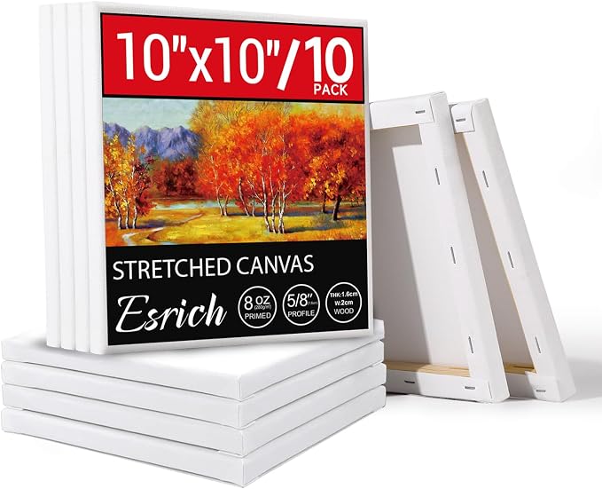 ESRICH 10x10 Stretched Canvas for Painting, 10 Pack Square Canvas for Painting by ESRICH