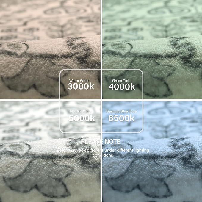 Lahome Area Rug 4x6 Bohemian Vintage Washable Boho Rugs - Image 7