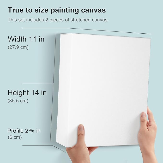 PHOENIX 11x14 Inch 2 Pack Museum Canvas - Image 2