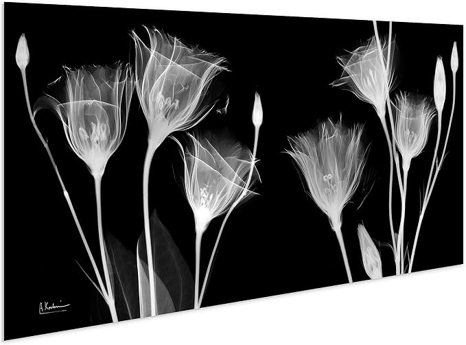 Empire Art Direct Frameless Free Floating Tempered Glass Panel Graphic Flower - Image 4