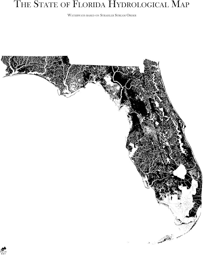 Muir Way Hydrological River Map of Florida by MuirWay