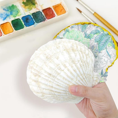 YOUKE OLA 72PCS Scallop Shells for Crafts Large Beach Natural Shells Bulk for - Image 3