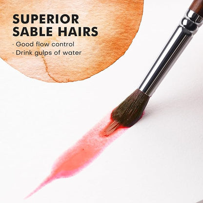Watercolor Brushes Professional, Fuumuui 9pcs Sable Paint Brushes & Natural - Image 3