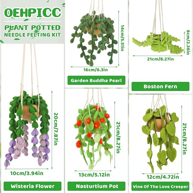 OEHPICC Needle Felting Kit, 5 Pack Hanging Plants Needle Felt Beginner Kit - Image 2