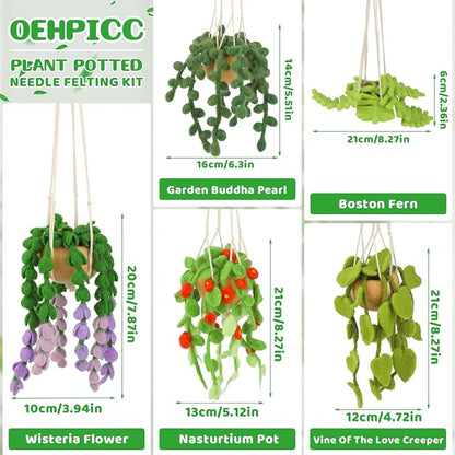 OEHPICC Needle Felting Kit, 5 Pack Hanging Plants Needle Felt Beginner Kit - Image 2