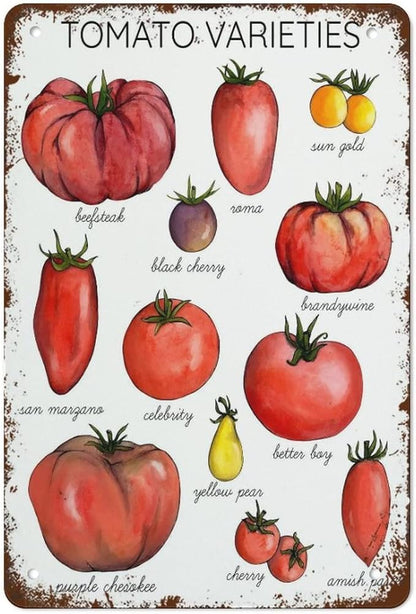 Funny Tin Sign Tomato Varieties Poste Metal Poster Plaques by HERYNLRN