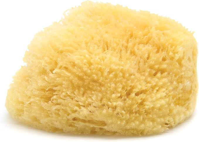Neptune Caribbean Sea Sponge, Hand Cut, Extra Large, Approx. 7-8 inches by Unknown