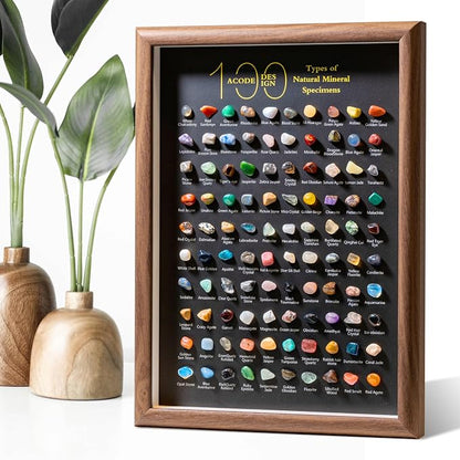 ACODE Natural Mineral Specimen Shadow Box, Geology Collection Case Decoration by HOME