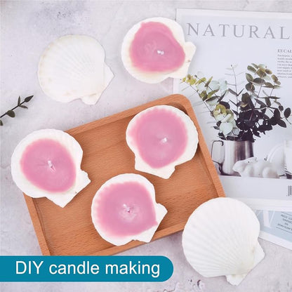 20PCS Natural Scallop Shells for Crafts & Baking - Image 4