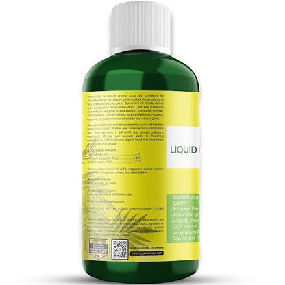 Organic Premium Kelp Seaweed Fertilizer - Image 2