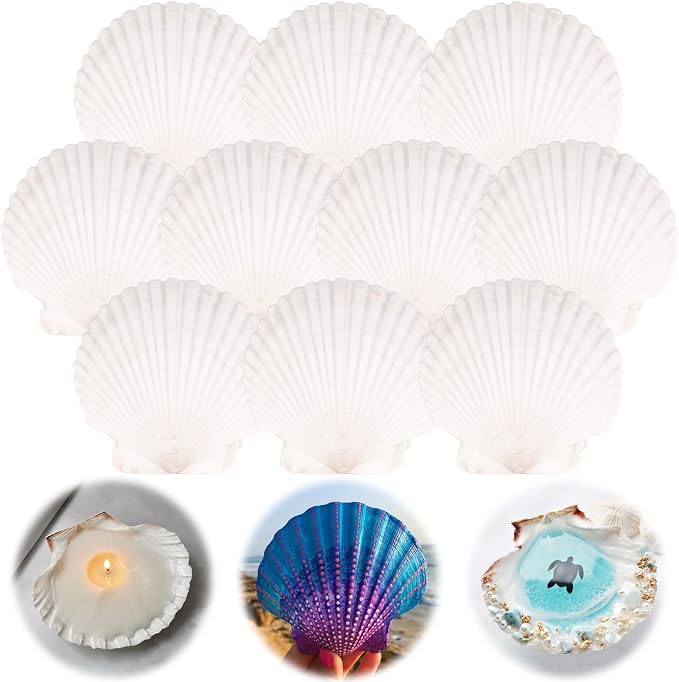 10PCS Scallop Shells for Crafts 4''-5'' Natural White Large Shells Decoration by YourRulesYourRevelry