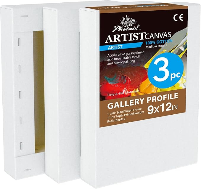 PHOENIX 9x12 Inch 3 Pack Gallery Canvas by PHOENIX
