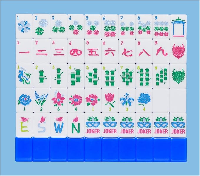 American Mahjong Tile Set with Carrying Bag and Accessories, 160 Acrylic by HOME