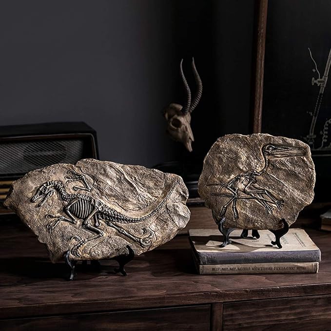 XINDAM Resin Dinosaur Fossil Statue Model Simulated Skeleton Home Office - Image 5