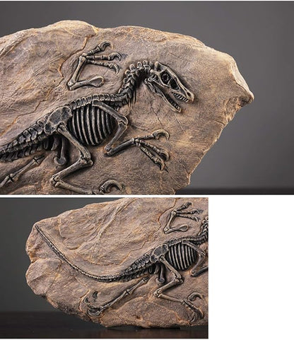 XINDAM Resin Dinosaur Fossil Statue Model Simulated Skeleton Home Office - Image 6