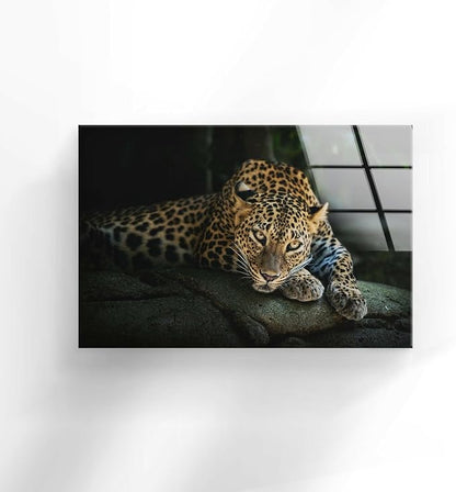 My Photostation.com 60WX40H'' Fierce Leopard Glass Wall ArtTempered Glass - Image 4
