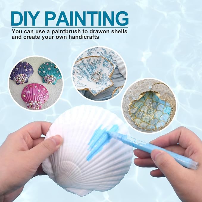 20PCS Natural Scallop Shells for Crafts & Baking - Image 3