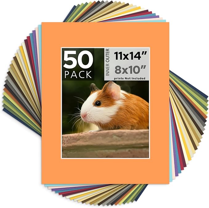 Mat Board Center, 11x14 for 8x10 Mixed Color Mats by MatBoardCenter