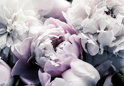 Floral Wallpaper Mural Large Rose Flowers Mural - Image 2
