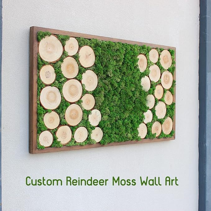 Preserved Reindeer Moss Natural Green DIY Kit Gardenning Art Wall Decor Florist - Image 6