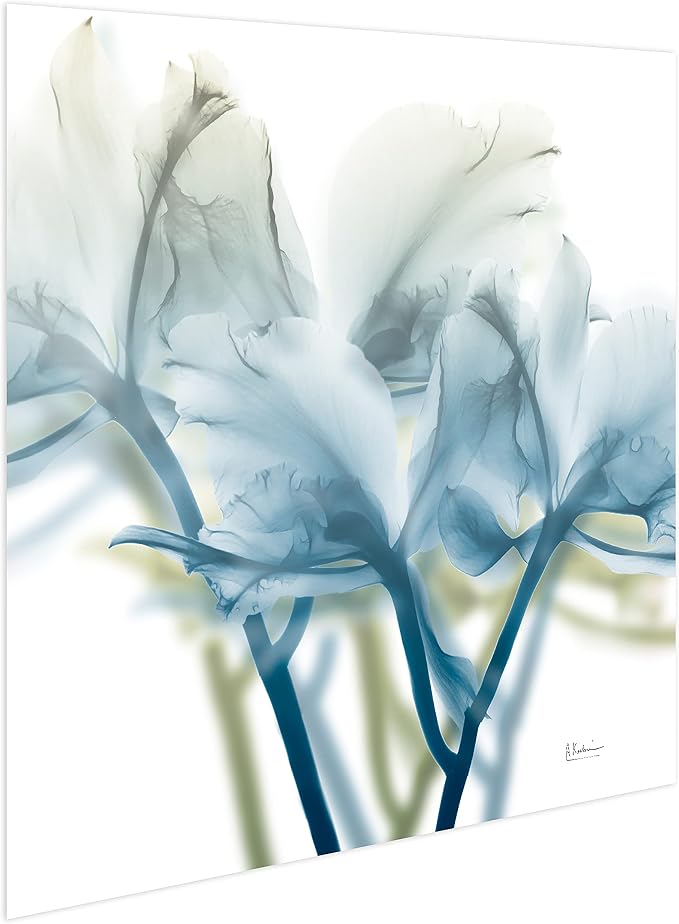Empire Art Direct Frameless Free Floating Tempered Glass Panel Graphic Wall Art - Image 4