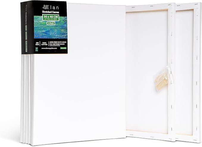 Elan Stretched Canvases 12x16, Stretched Canvas by Elan