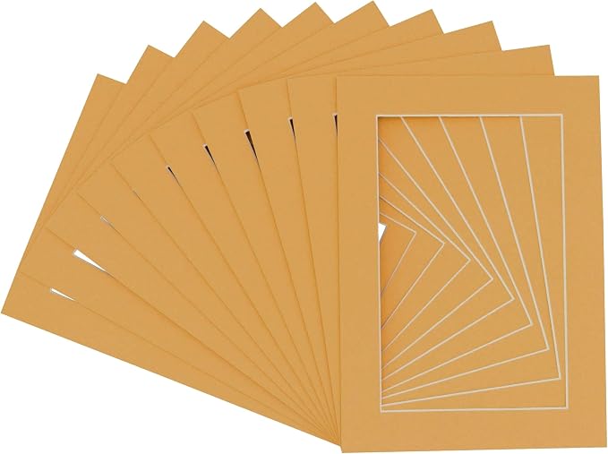 Pack of 25 Acid Free 8x10 Mats Bevel Cut by Poster+Palooza