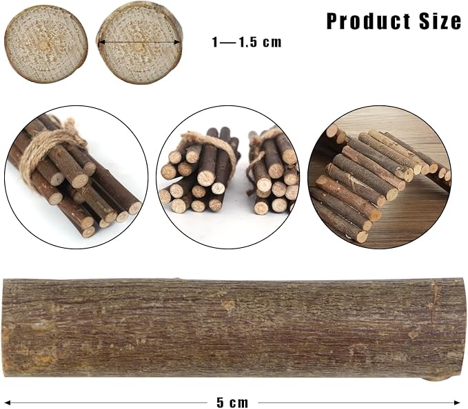 FSWCCK 100 PCS Craft Sticks, 2 Inch Natural Birch Twigs Sticks, Mini Wood Log - Image 2