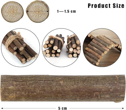 FSWCCK 100 PCS Craft Sticks, 2 Inch Natural Birch Twigs Sticks, Mini Wood Log - Image 2