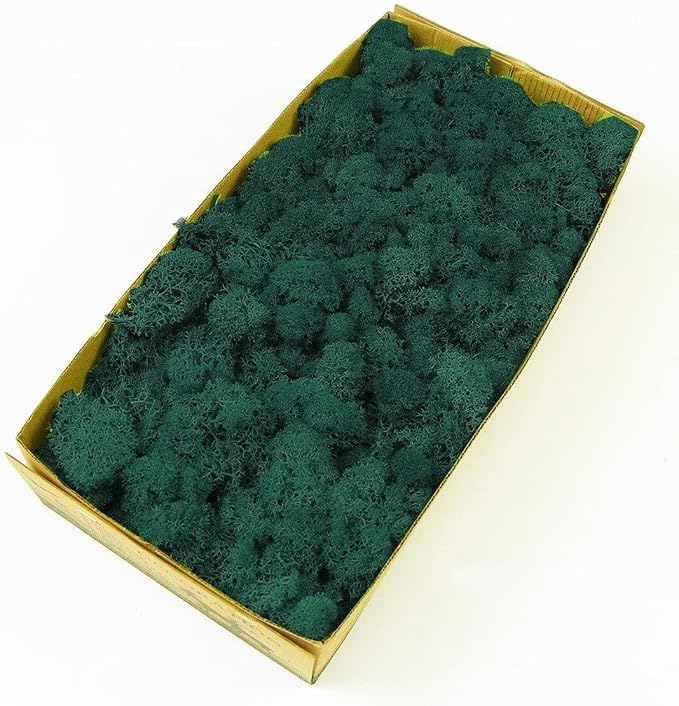 Preserved Reindeer Moss Natural Green DIY Kit Gardenning Art Wall Decor Florist - Image 6