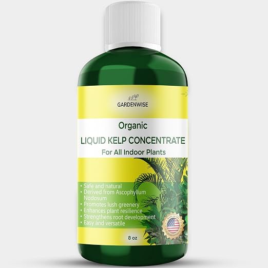 Organic Premium Kelp Seaweed Fertilizer by GARDENWISE