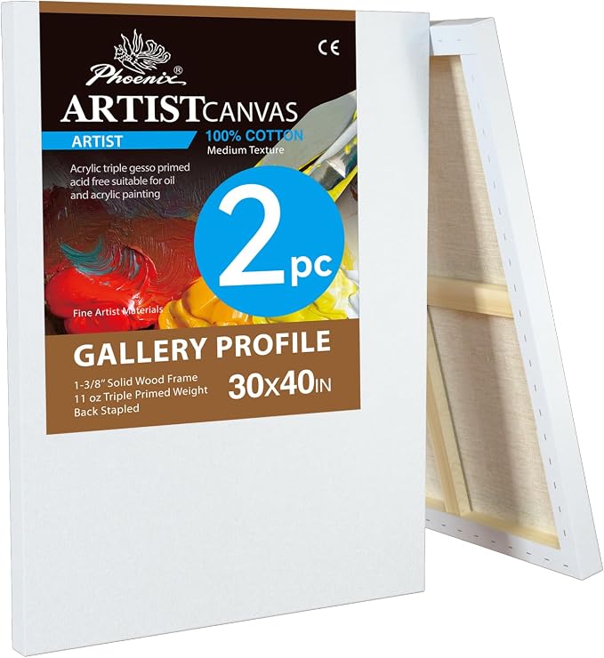PHOENIX 30x40 Inch 2 Pack Gallery Canvas by PHOENIX