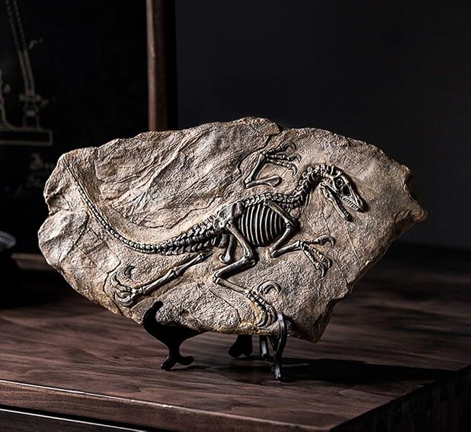 XINDAM Resin Dinosaur Fossil Statue Model Simulated Skeleton Home Office - Image 3