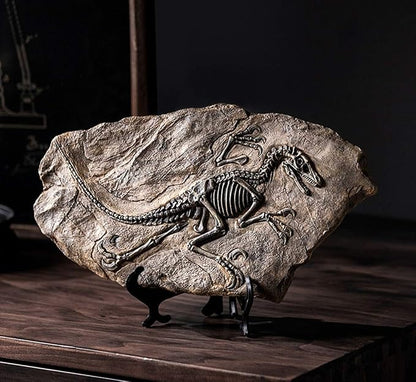 XINDAM Resin Dinosaur Fossil Statue Model Simulated Skeleton Home Office - Image 3