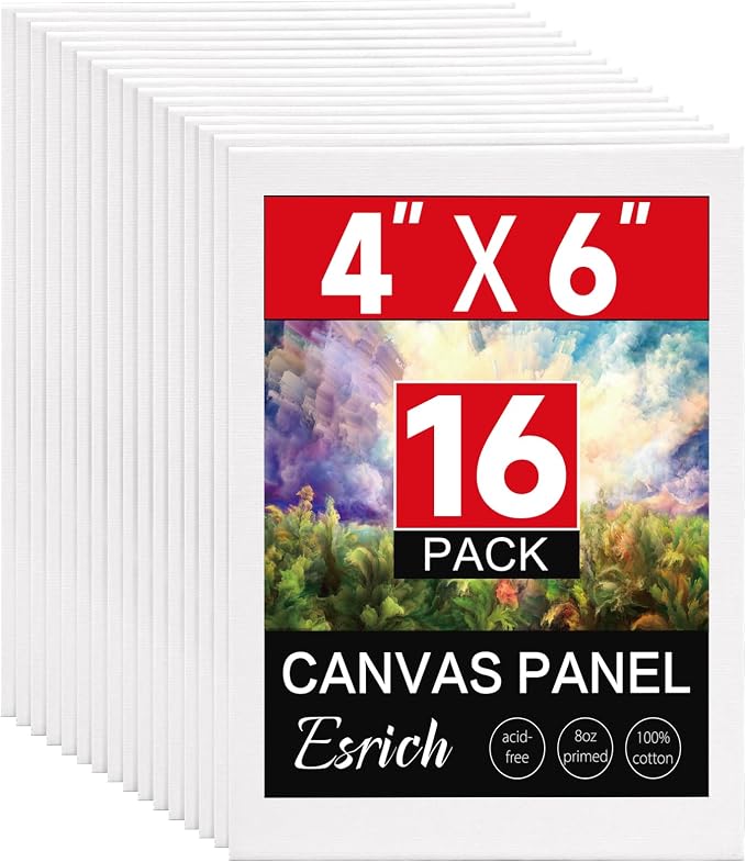 ESRICH 16 Pack 4x6 Inch Small Canvases by ESRICH