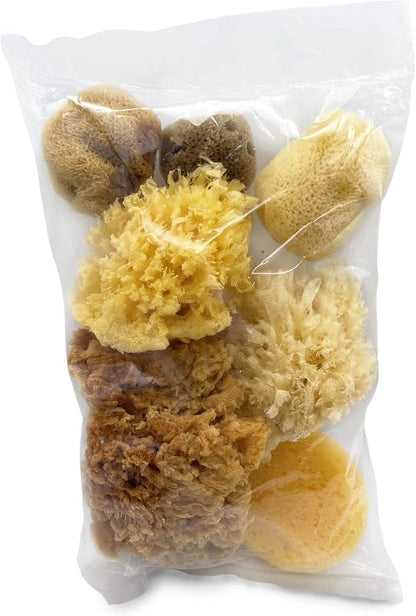 Natural Sea & Synthetic Sponges - Image 2