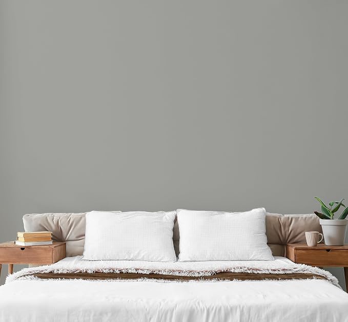 EVOLVE Paint & Primer: Environment-friendly, Low Sheen - Image 4