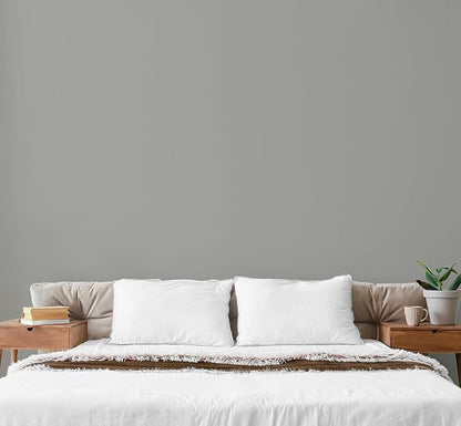 EVOLVE Paint & Primer: Environment-friendly, Low Sheen - Image 4