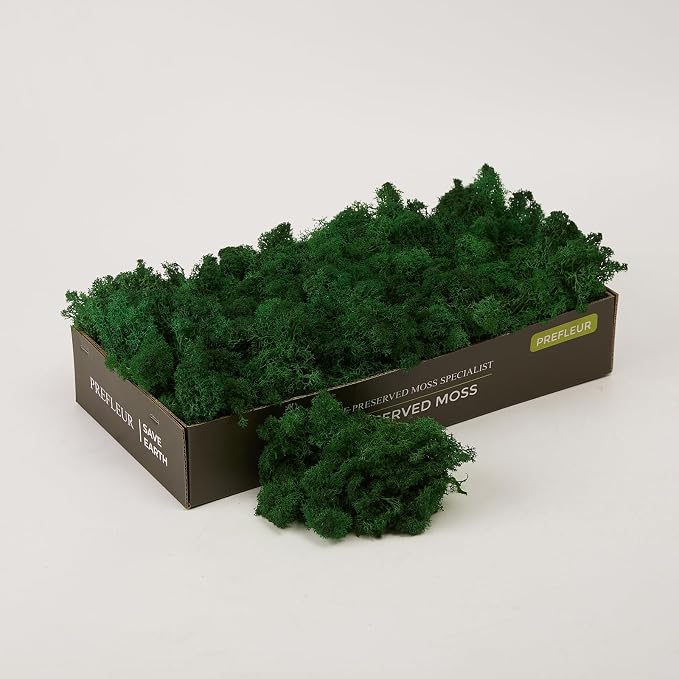 Preserved Reindeer Moss Natural Green DIY Kit Gardenning Art Wall Decor Florist by %E7%8E%B0%E5%9C%A8%E8%B4%AD%E4%B9%B0