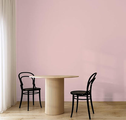 EVOLVE Paint & Primer: Environment-friendly, Low Sheen - Image 5