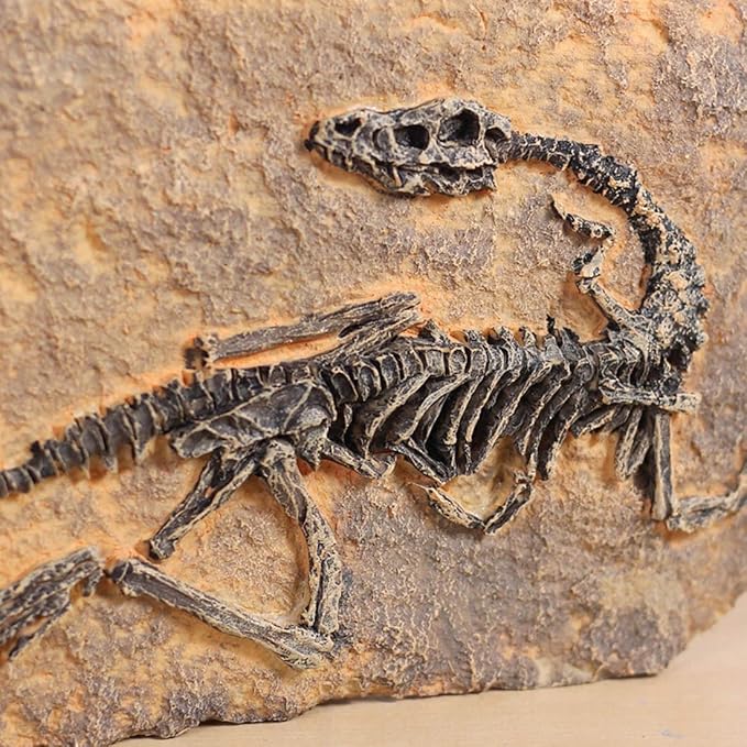 XINDAM Resin Dinosaur Fossil Statue Model Simulated Skeleton Home Office - Image 4