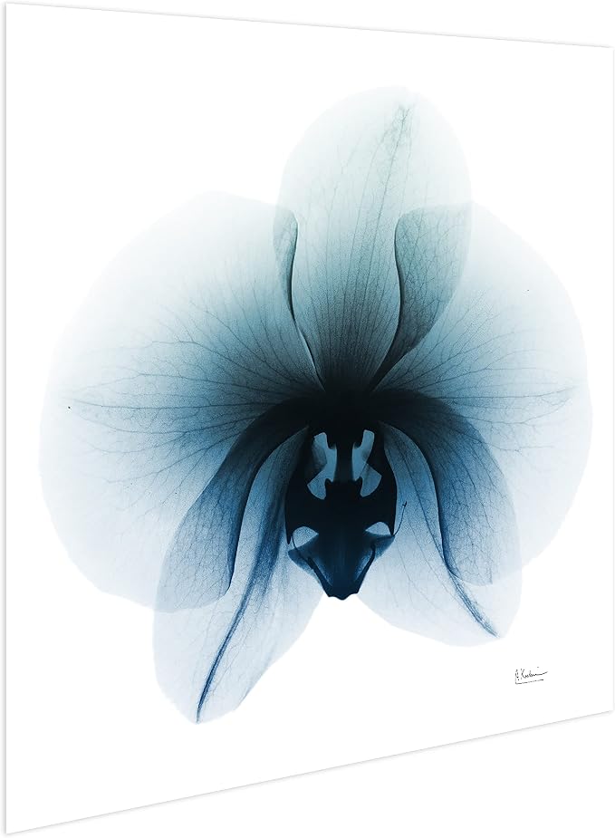 Empire Art Direct Frameless Free Floating Tempered Glass Panel Graphic Wall Art - Image 4