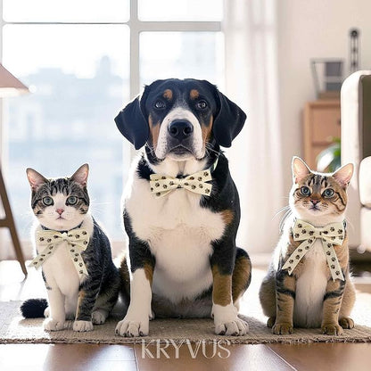 Paw Print Ribbon - Image 3