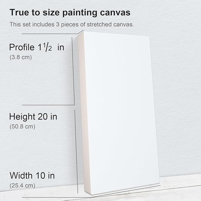 PHOENIX 10x20 Inch 3 Pack Gallery Canvas - Image 2