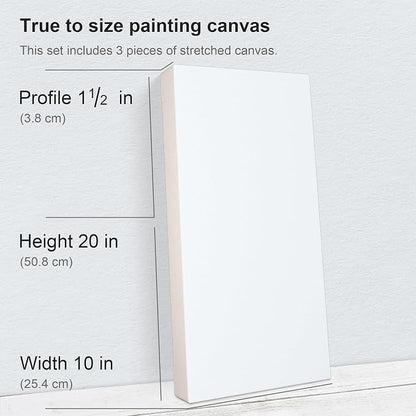 PHOENIX 10x20 Inch 3 Pack Gallery Canvas - Image 2